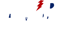 CW - DC Auto Electric and Trolling Motor Shop